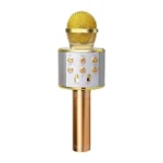 Best Wireless Mic with Speaker